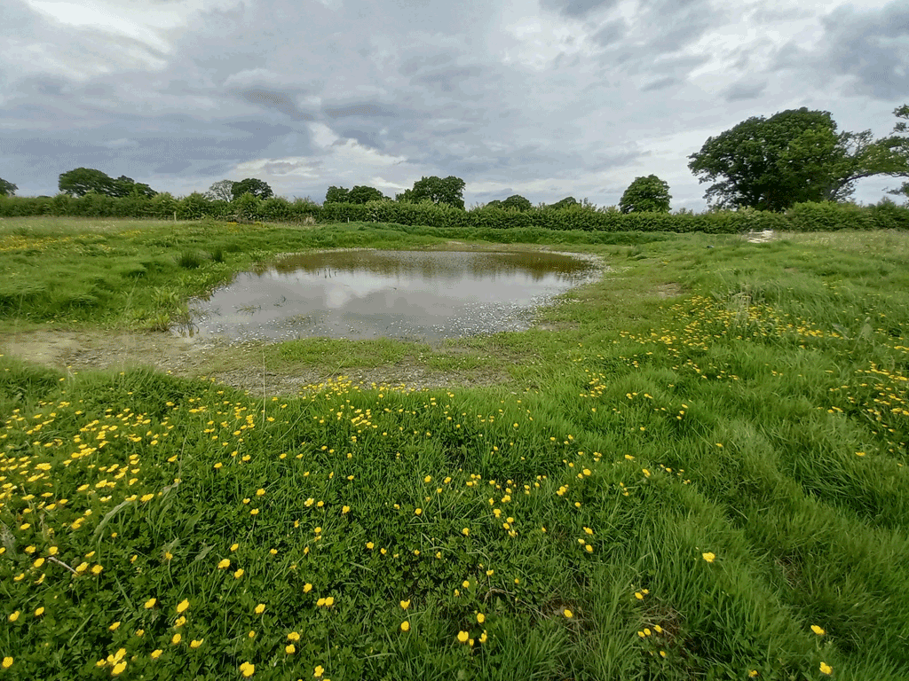 Photo of a Large pond