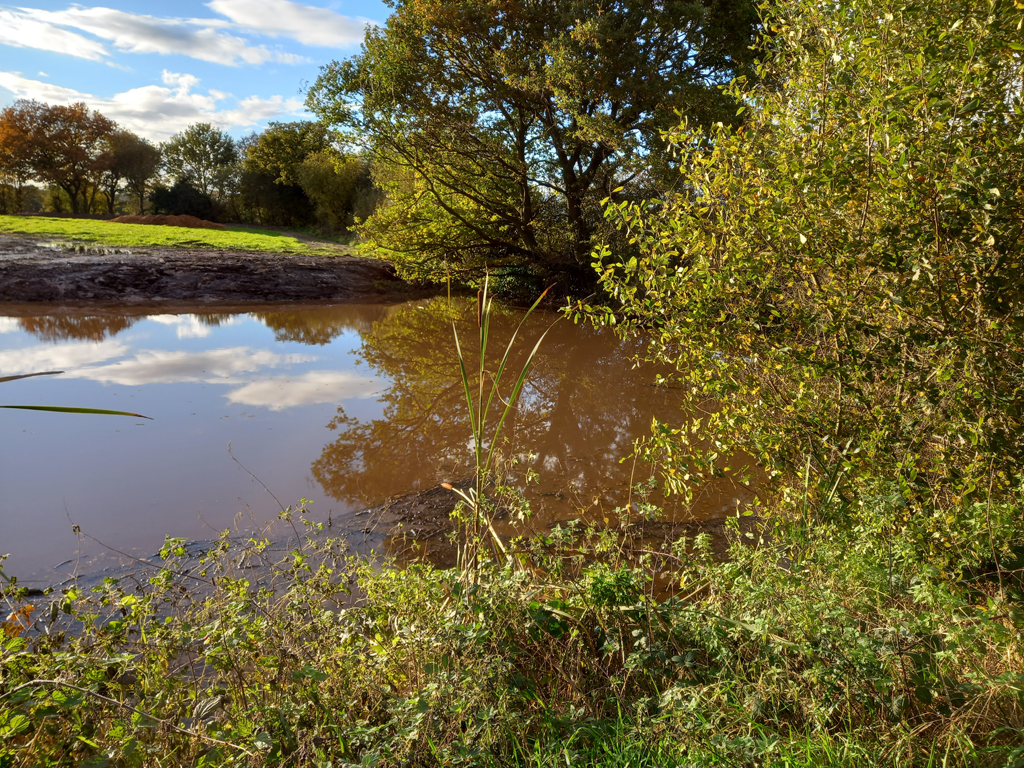 A photo of a Large pond in a business graden