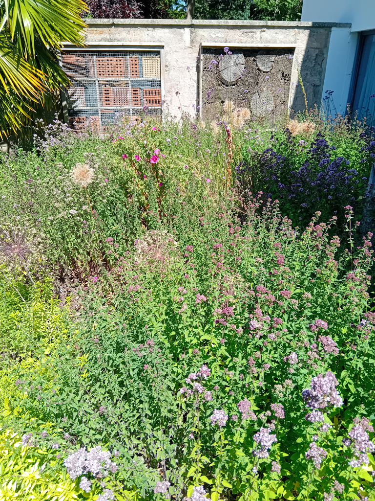 A photo of a Pollinator patch in a business garden